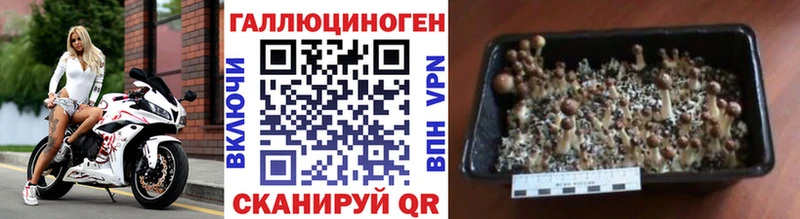 Псилоцибиновые грибы Magic Shrooms  Брянск 